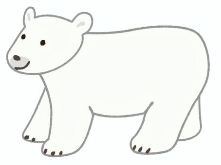 横向きに歩いている可愛い白熊 白熊,全身,動物,左向き,歩く,動物園,微笑む,シンプル,かわいい,哺乳類のイラスト素材