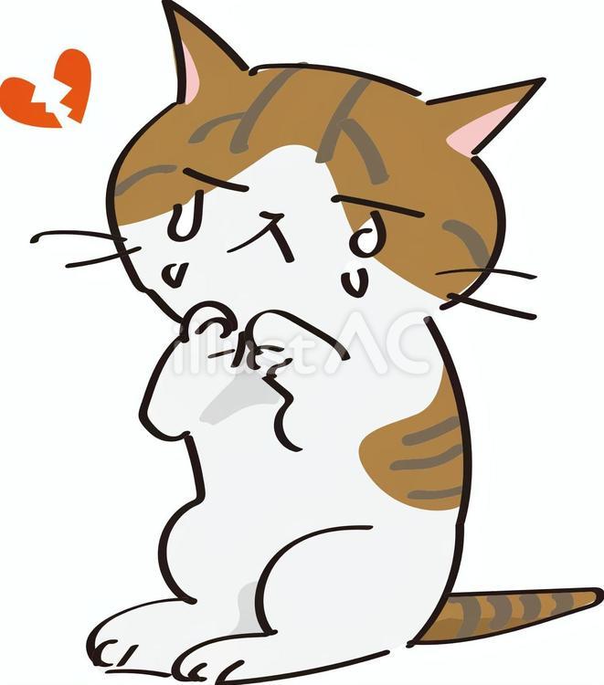 泣くハートブレイク猫 猫,茶白猫,ネコのイラスト素材