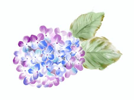 あじさい(水彩風) あじさい(水彩風) あじさい,花,紫のイラスト素材