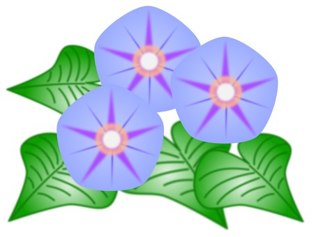 琉球朝顔（オーシャンブルー） アサガオ,琉球,花,夏,夏の風物詩,オーシャンブルーのイラスト素材