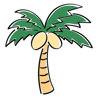 ヤシの木 ヤシの木,木,植物,ヤシ,ヤシの実,葉のイラスト素材