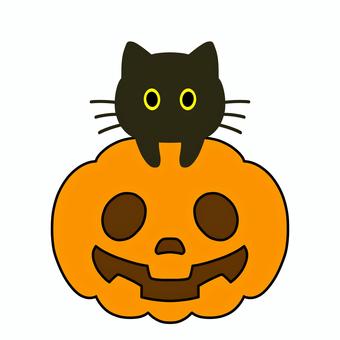 ハロウィンかぼちゃと黒猫 10月,10月31日,秋,季節,ハロウィン,イベント,祭り,ジャックオランタン,カボチャ,パンプキンのイラスト素材
