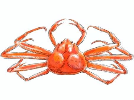 crab, yengeç, deniz ürünleri, deniz ürünleri, JPG, PNG and AI