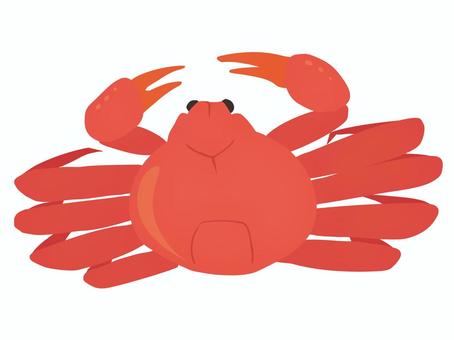 蟹 主線なし 蟹,甲殻類,海産物,食べ物,はさみ,主線なし,イラスト素材,広告,チラシ,cmのイラスト素材