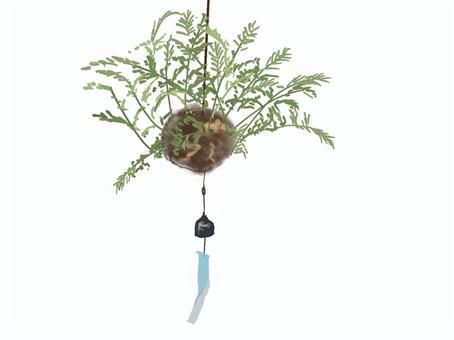 Illustration, hanging out with fishing, wind chimes, fern, 