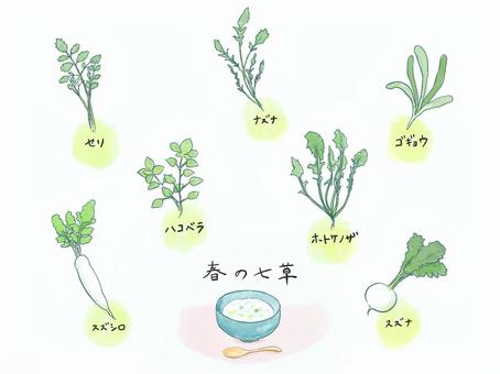春の七草 春,七草,食べ物,植物,生活,粥,チラシのイラスト素材