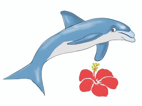 花とイルカ イルカ,ハイビスカス,カワイイ,海獣,癒し,海,海豚,南,南国,ハワイのイラスト素材