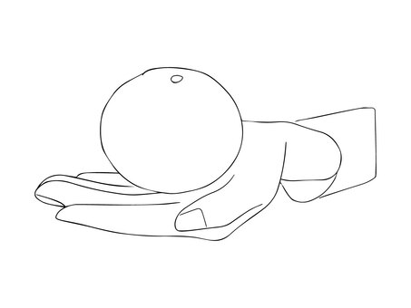 手の平に乗せたみかん 手の平,みかん,果物,食べ物,乗せる,片手,手描きのイラスト素材