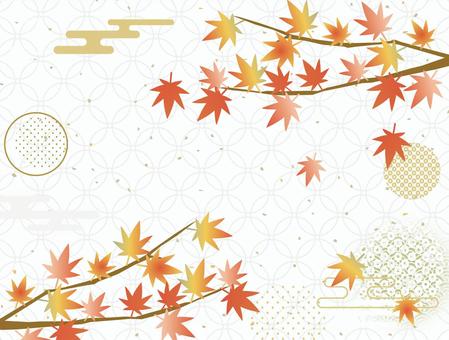 Autumn, et, automne, feuilles d'automne, JPG and PNG