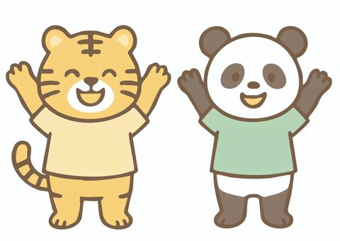 万歳するトラとパンダのキャラクター イラスト,キャラクター,動物,トラ,パンダ,擬人化,子ども向け,可愛い,立つ,元気のイラスト素材