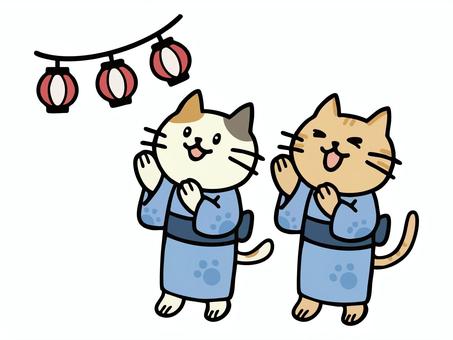 Illustration, gato, verão, as férias de verão, 