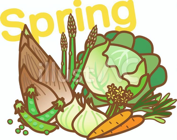 春の野菜＋文字 春野菜,野菜,春のイラスト素材