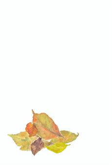 Illustration, fallen leaves, autumn, a postcard, 