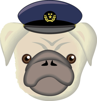 犬のおまわりさん 警察,帽子,被る,パグ,犬,小型犬,ペット,かわいい,顔,立体のイラスト素材