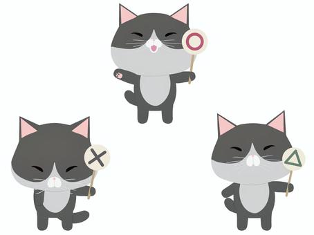プラカード_猫 札,猫,はちわれ,セット,まる,ばつ,三角,動物,かわいい,プラカードのイラスト素材