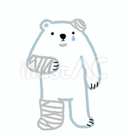 シロクマシリーズ・大怪我