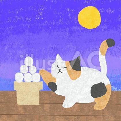 月見とねこちゃん♪