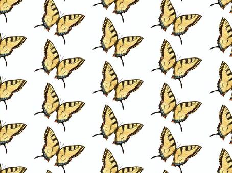 アゲハ蝶　② アゲハチョウ,アゲハ,蝶,蝶々,昆虫,虫,羽,羽根,飛ぶ,生物のイラスト素材