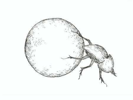 フンコロガシをイメージした手描きイラスト フンコロガシ,昆虫,生き物,手描き,リアル,モノクロ,挿絵,白バック,線画,イラストのイラスト素材
