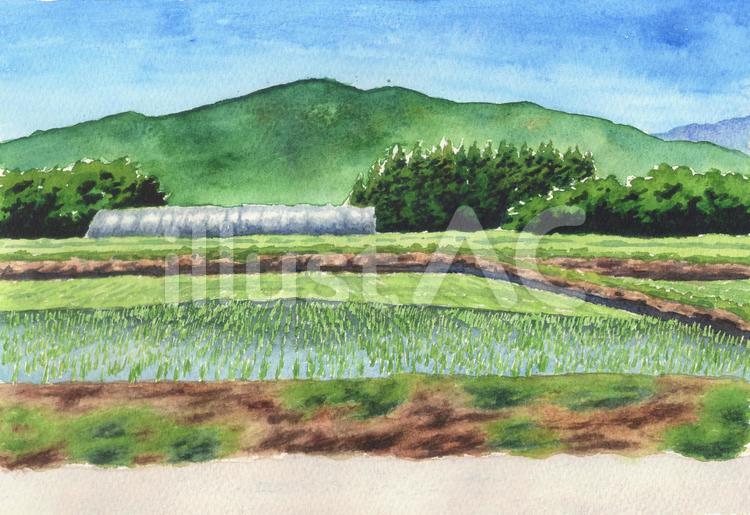 田園風景 田園,風景,自然のイラスト素材