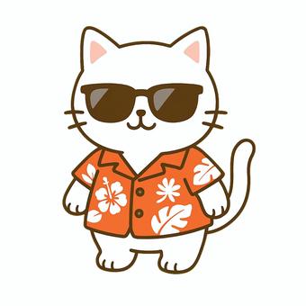 アロハシャツのネコ