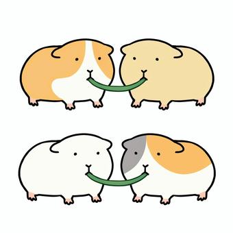 モルモット（食事/取り合い） モルモット,ごはん,食事,エサ,餌,牧草,草,葉っぱ,取り合い,ゆるいのイラスト素材