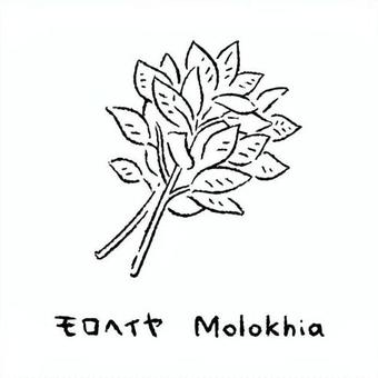 手描きのモロヘイヤ2_名称入_白黒 モロヘイヤ,野菜,アイコン,食べ物,シンプル,食材,健康,イラスト,料理,農業のイラスト素材