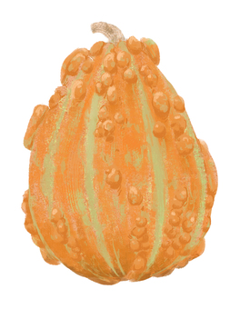 Illustration, pumpkin, nanjing, toy squash, 