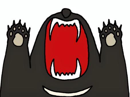 熊　襲う 熊,襲う,口,牙,猛獣,大きい,怖い,ツキノワグマ,生き物,動物のイラスト素材