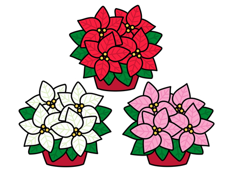 ポインセチア クリスマス,ポインセチア,プリンセチア,花,鉢植え,観葉植物のイラスト素材