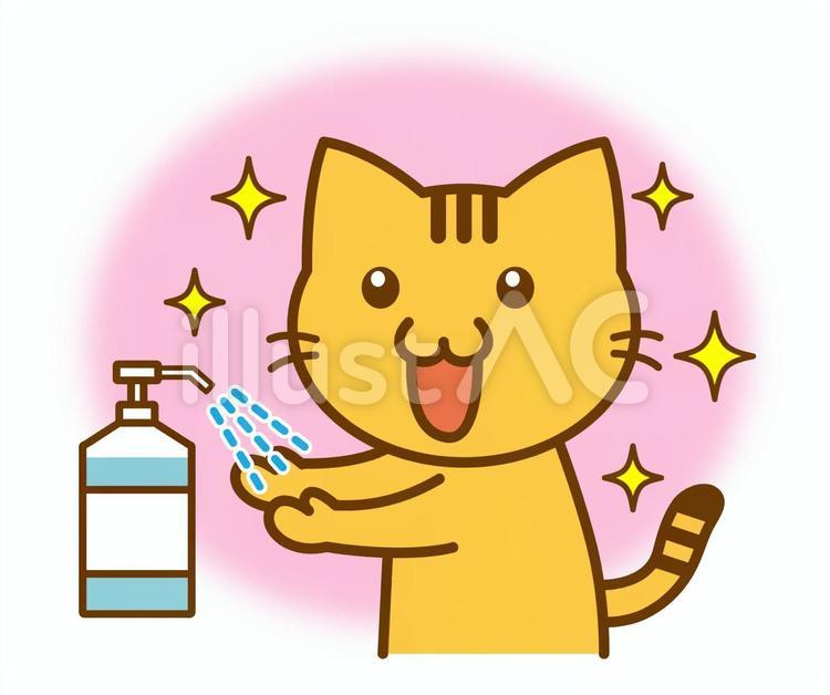 手を消毒する　ねこ 手,消毒,ねこのイラスト素材