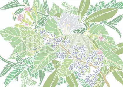 全面植物の背景画像