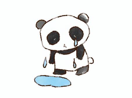 Sometimes it is sad, sad, tears, panda, JPG and PNG