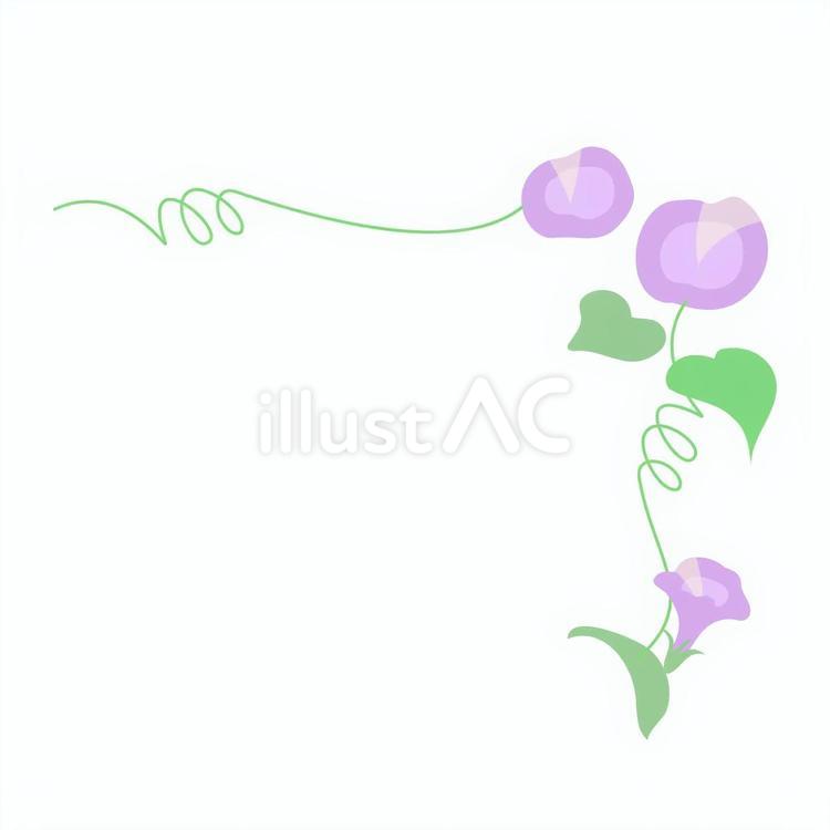 朝顔の囲み枠 顔,花,梅雨のイラスト素材