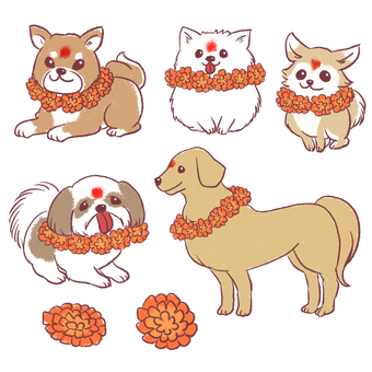 かわいいククル・ティハールのイラスト 花,動物,秋,お祭り,犬,ネパール,ククル・ティハール,マリーゴールド,柴犬,ポメラニアンのイラスト素材