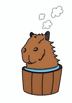 お湯に浸かるカピバラ お湯,温泉,カピバラ,寛ぐ,ポカポカのイラスト素材