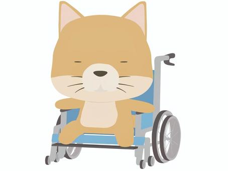 車椅子_犬 車椅子,犬,動物,かわいい,医療,瞑るのイラスト素材