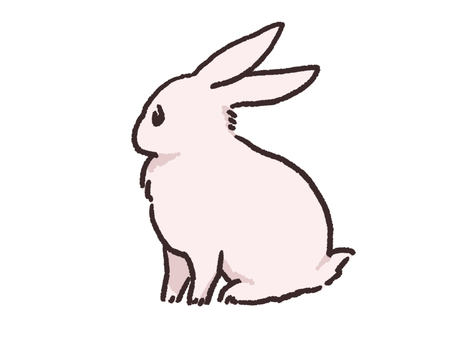どこかを見ている白うさぎ うさぎ,視線,シンプル,白,かわいいのイラスト素材