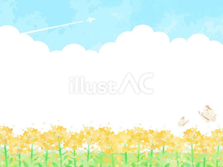 優しい青空と菜の花が咲く春の風景イラスト 春,菜の花,手描きのイラスト素材