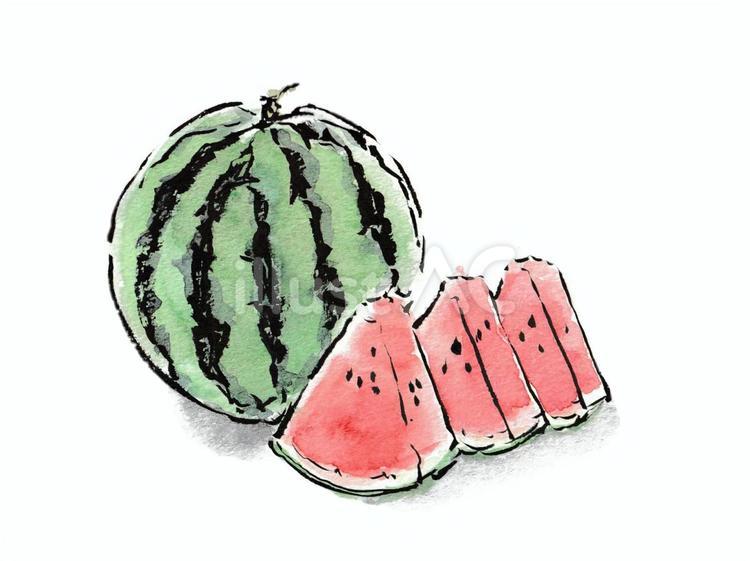 絵手紙風　丸ごととカットされたスイカ スイカ,食べ物,果物のイラスト素材