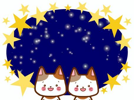 Starry sky cat frame, star, sky, cat, JPG