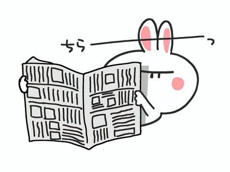 覗くうさぎ うさぎ,覗く,監視,新聞,pop調,挿絵,ワンポイント,素材,商用可,無料のイラスト素材