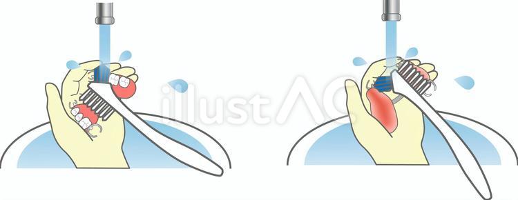 部分入れ歯の洗い方 部分入れ歯,義歯,義歯ブラシのイラスト素材