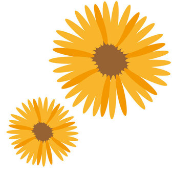 Flower 1, Flower 1, flower, orange, illustration,