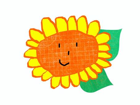 sunflower, , JPG and PNG