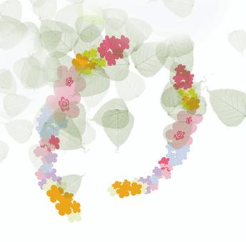 bouquet bouquet