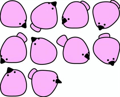 Illustration, colorato, impressione, rosa, 
