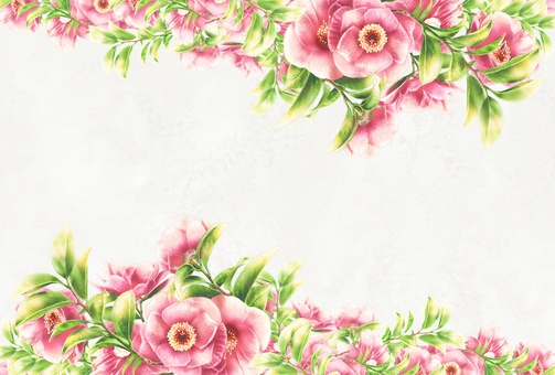 サザンカの花枠2 冬,花,サザンカ,12月,１月,植物,イラスト,手描き,水彩,フレームのイラスト素材