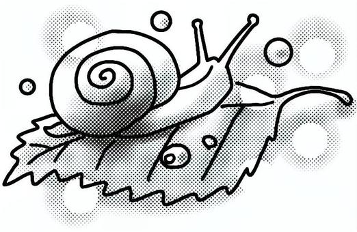 Illustration, snail, rainy season, leaf, JPG and PNG