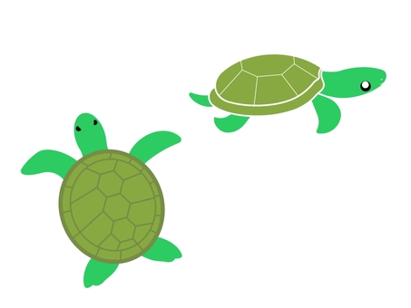 Illustration, turtle, sea turtle, set, 